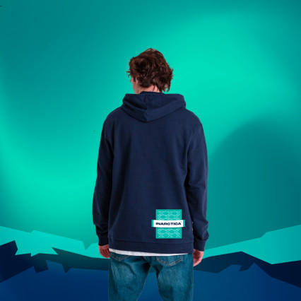 Проект оформления мерча для  INARCTICA