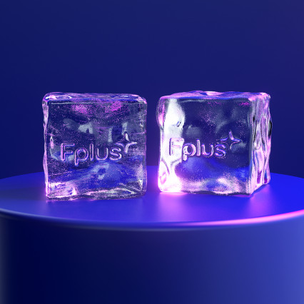 Проект оформления корпоративного Нового года FPlus