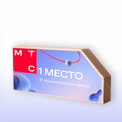 Проект оформления конференции МТС